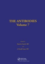 Antibodies