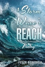 Storm Wave's Reach