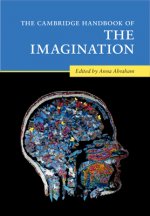 Cambridge Handbook of the Imagination