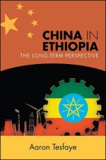 China in Ethiopia: The Long-Term Perspective