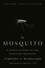 Mosquito