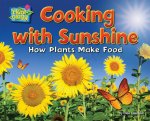 Cooking with Sunshine: How Plants Make Food