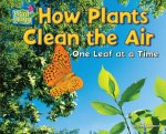 Prickly Plants: Stuck!