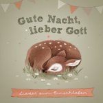 Gute Nacht, lieber Gott, 1 Audio-CD