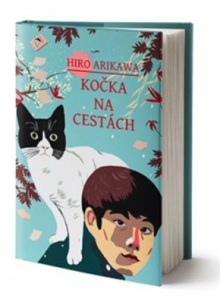 Kočka na cestách
