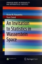 Invitation to Statistics in Wasserstein Space