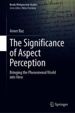 Significance of Aspect Perception