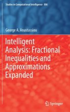 Intelligent Analysis: Fractional Inequalities and Approximations Expanded