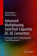 Advanced Multiphasing Switched-Capacitor DC-DC Converters