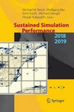 Sustained Simulation Performance 2018 and 2019