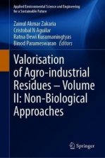 Valorisation of Agro-industrial Residues - Volume II: Non-Biological Approaches