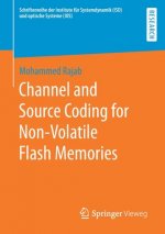 Channel and Source Coding for Non-Volatile Flash Memories