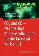 CO2 und CO Nachhaltige Kohlenstoffquellen für die Kreislaufwirtschaft