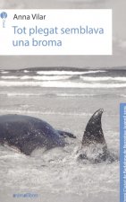 Tot plegat semblava una broma