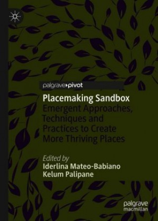Placemaking Sandbox