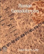Human Gonadotropins