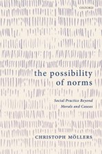 Possibility of Norms