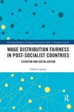 Wage Distribution Fairness in Post-Socialist Countries