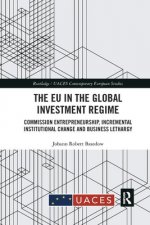EU in the Global Investment Regime