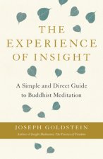 Experience of Insight
