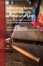 Advocating Social Change Through International Law: Exploring the Choice Between Hard and Soft International Law