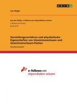 Herstellungsverfahren und physikalische Eigenschaften von Aluminiumschaum und Aluminiumschaum-Platten