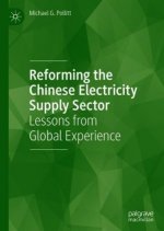 Reforming the Chinese Electricity Supply Sector