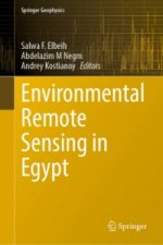 Environmental Remote Sensing in Egypt
