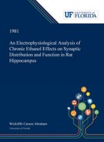 Electrophysiological Analysis of Chronic Ethanol Effects on Synaptic Distribution and Function in Rat Hippocampus