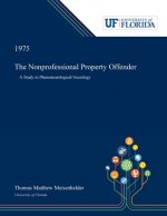 Nonprofessional Property Offender