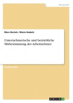 Unternehmerische und betriebliche Mitbestimmung der Arbeitnehmer