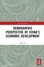 Demographic Perspective of China's Economic Development