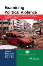 Examining Political Violence