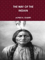 Way of the Indian