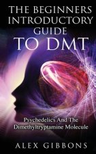 Beginners Introductory Guide To DMT - Psychedelics And The Dimethyltryptamine Molecule