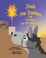 Joab the Donkey and the Night the Star Stood Still