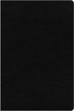 NIV Study Bible, Fully Revised Edition, Large Print, Bonded Leather, Black, Red Letter, Comfort Print