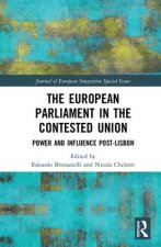 European Parliament in the Contested Union