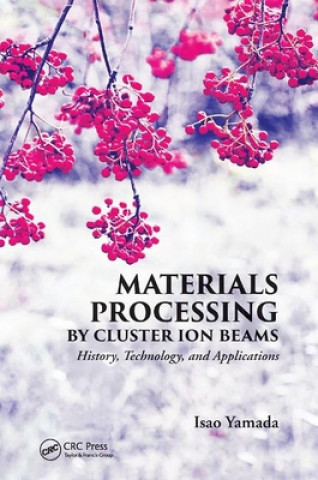 Materials Processing by Cluster Ion Beams