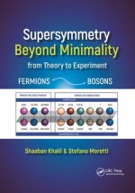Supersymmetry Beyond Minimality