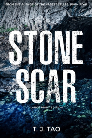 Stone Scar: Angeline & Augustine Book #1 Large Print Edition