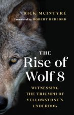 Rise of Wolf 8