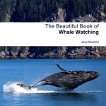 Beautiful Book of Whale Watching