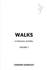 Walks: A Collection of Haiku (Volume 3)