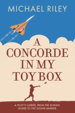 Concorde in my Toy Box
