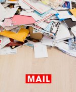 Mungo Thomson: Mail