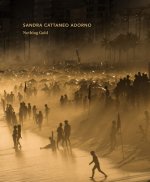 Sandra Cattaneo Adorno: Aguas de Ouro