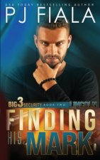Lincoln: Finding His Mark