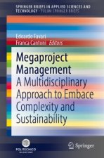 Megaproject Management
