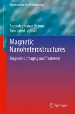 Magnetic Nanoheterostructures
